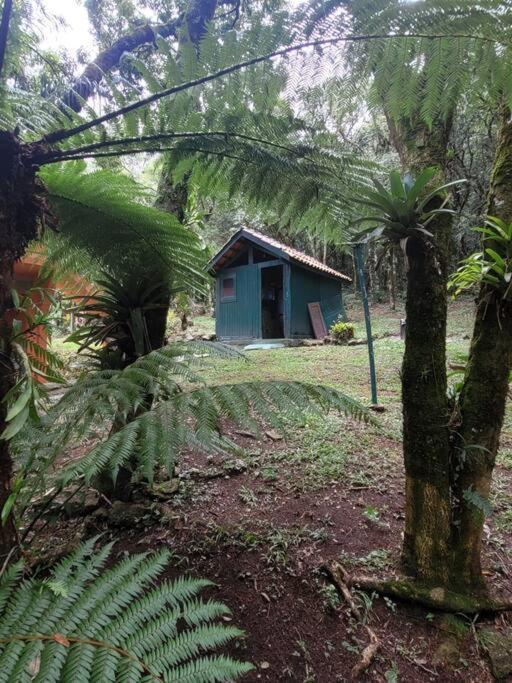 Chalet Chale Do Lopo *
